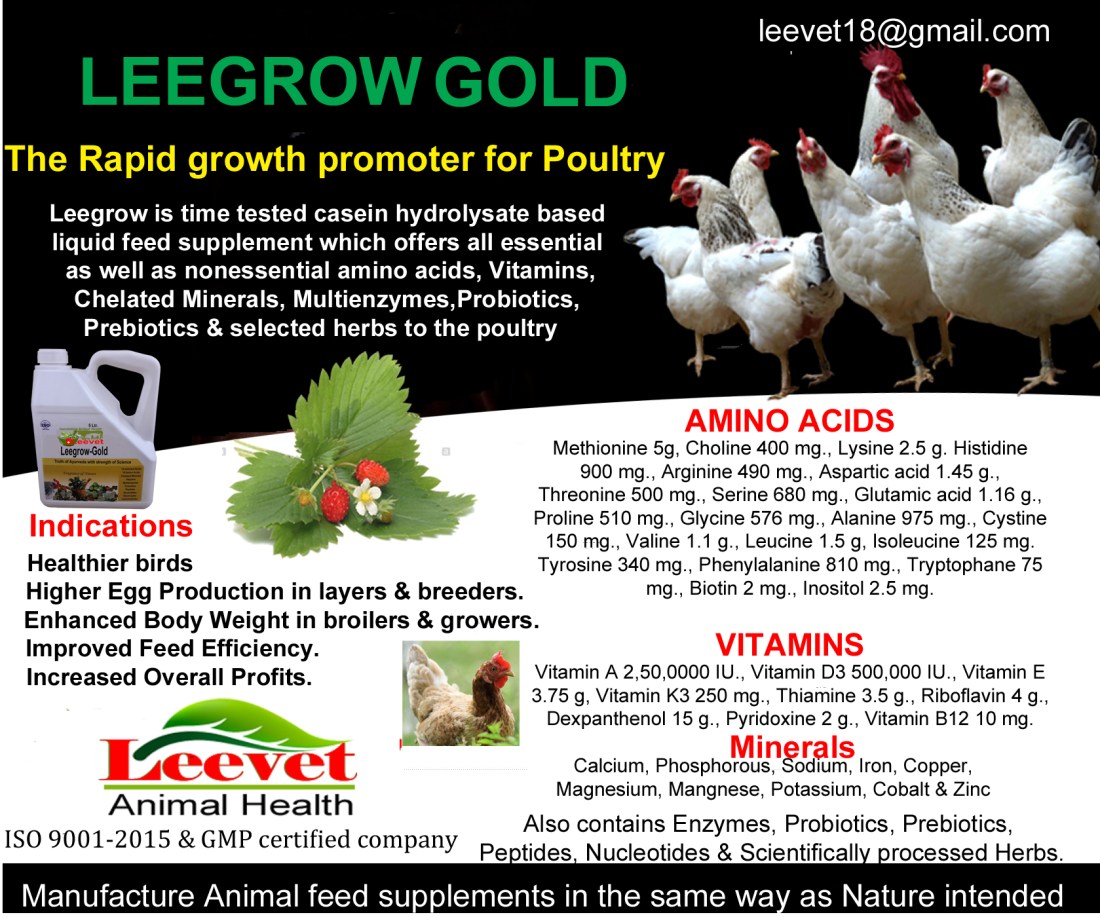 38835_01_aboutus_original_edited-1